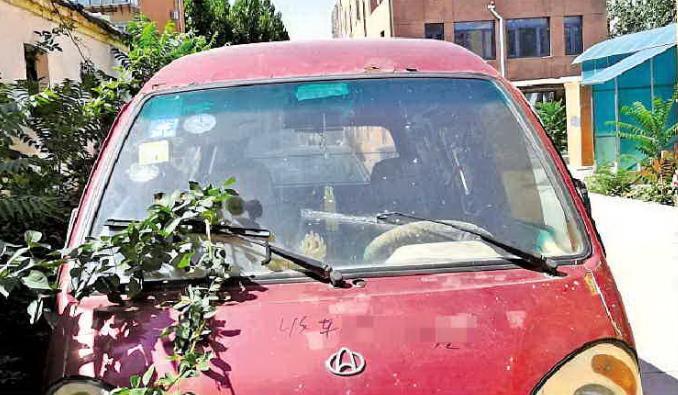 收报废车的名片标语_报废车收购名片_高价回收报废车名片